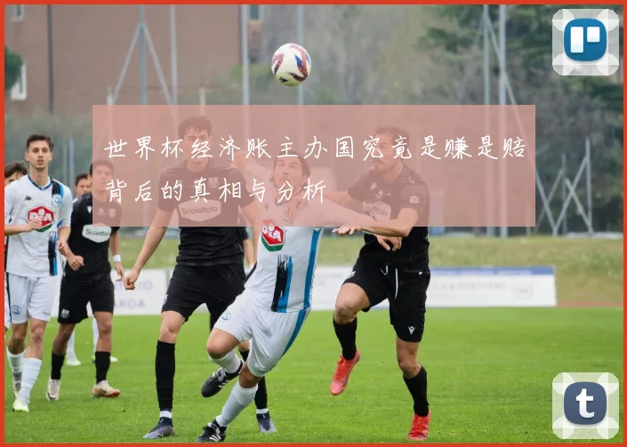 世界杯经济账主办国究竟是赚是赔背后的真相与分析