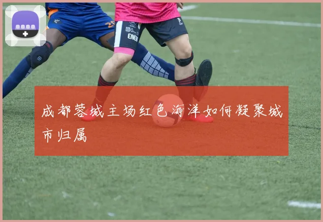 成都蓉城主场红色海洋如何凝聚城市归属