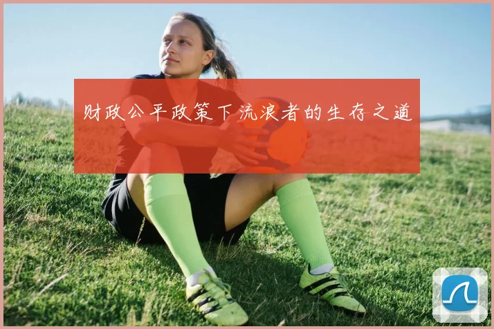 财政公平政策下流浪者的生存之道