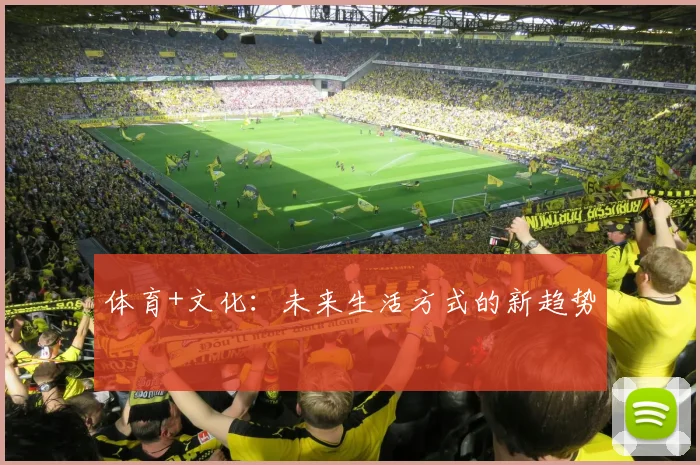 体育+文化：未来生活方式的新趋势